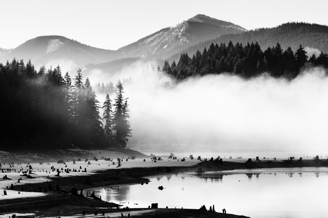Read more about the article What are zombie fires, and how do they affect the environment?