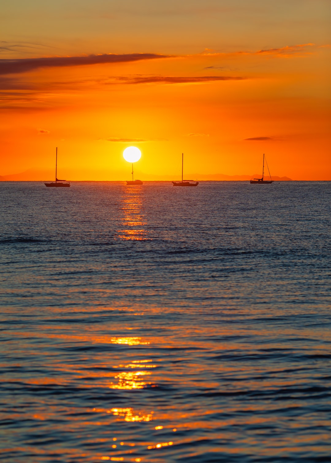 Read more about the article A vision for an island made of plastic waste in the ocean