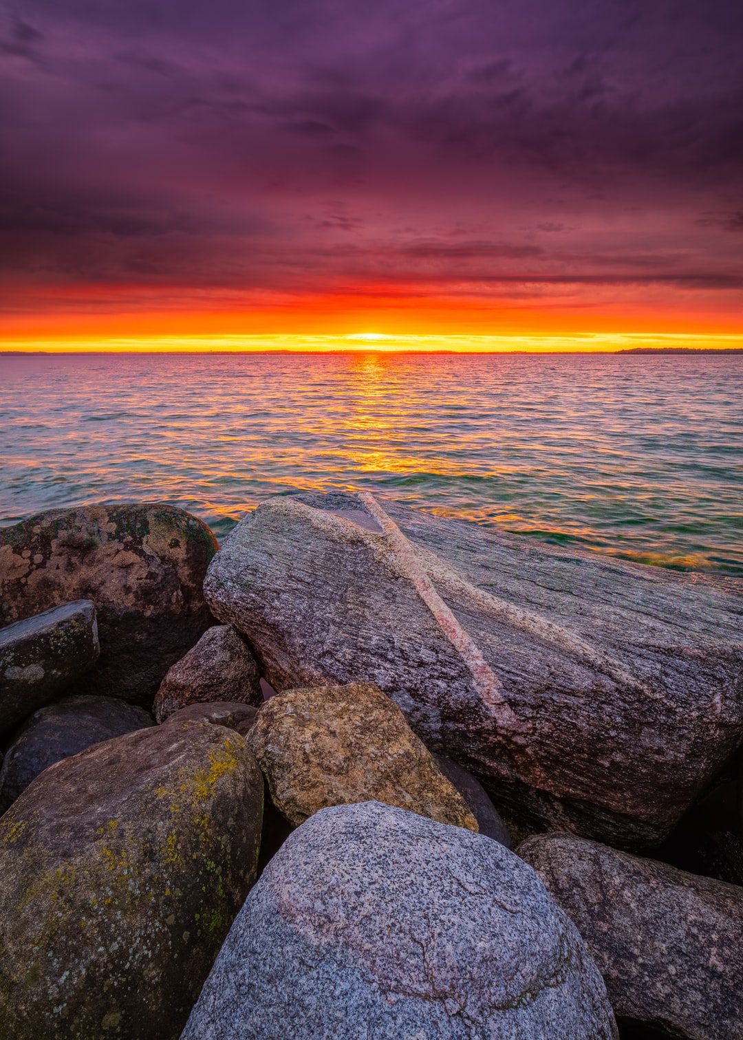 Read more about the article Democrats Have a Year to Save the Planet