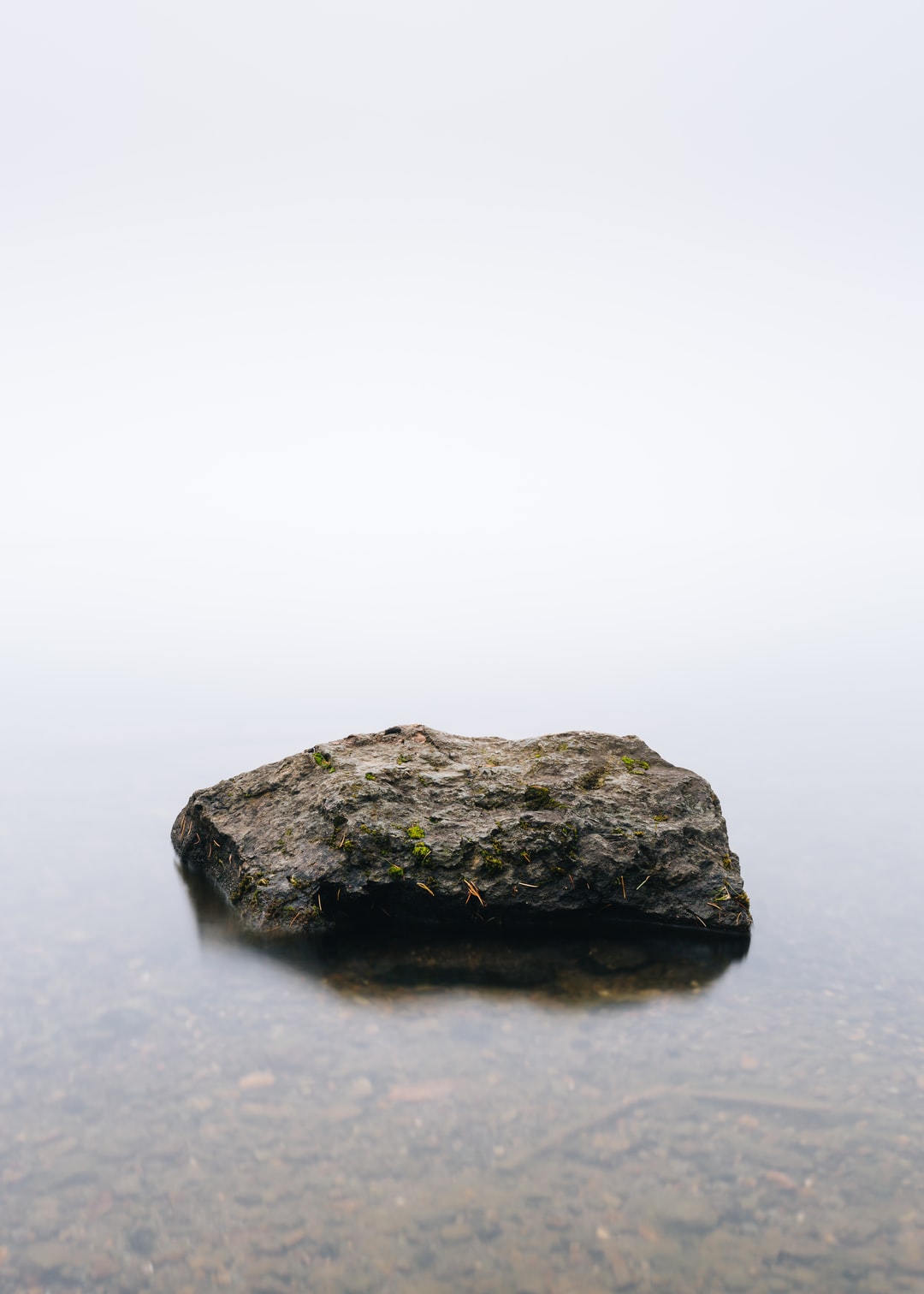 Read more about the article Ray of Hope Prize program names top 10 nature-inspired startups