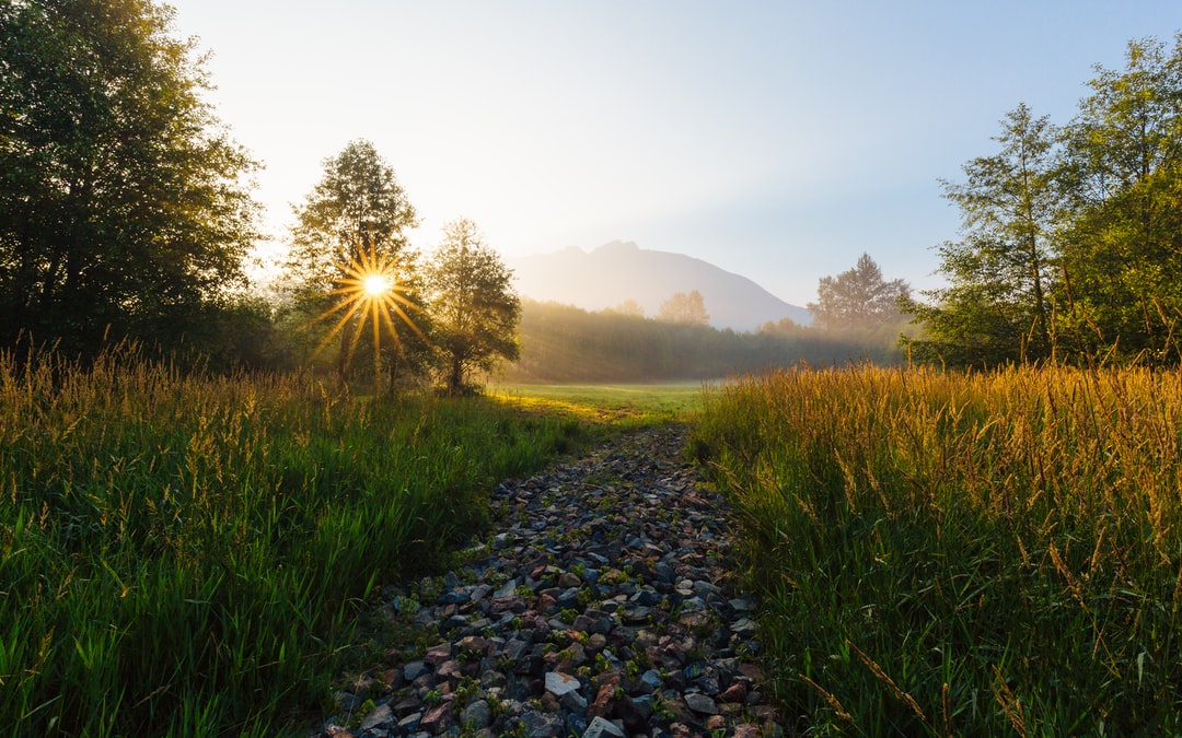 Read more about the article Legal experts draft a definition of ecocide to help protect the planet