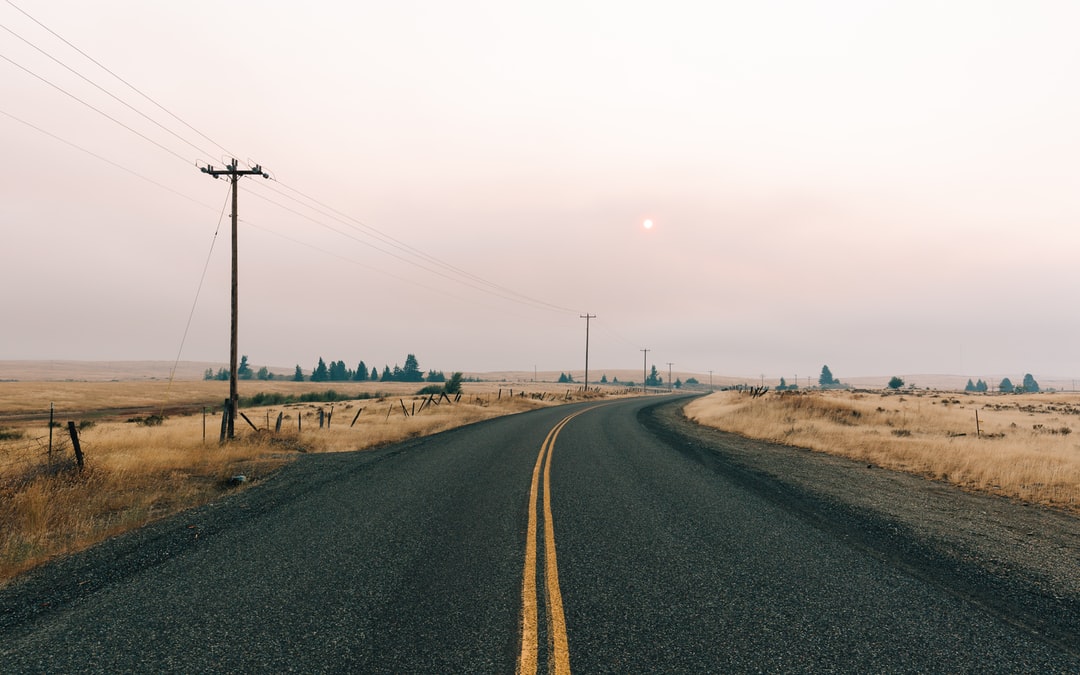 Read more about the article How to Calm Your Climate Anxiety