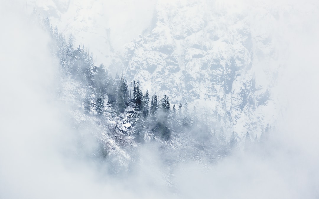 Read more about the article Where Is Biden’s Climate Change ‘Revolution’?