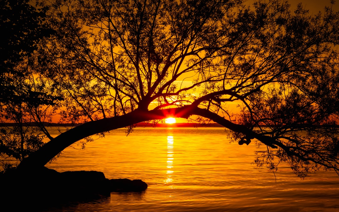 Read more about the article A Battle Between a Great City and a Great Lake