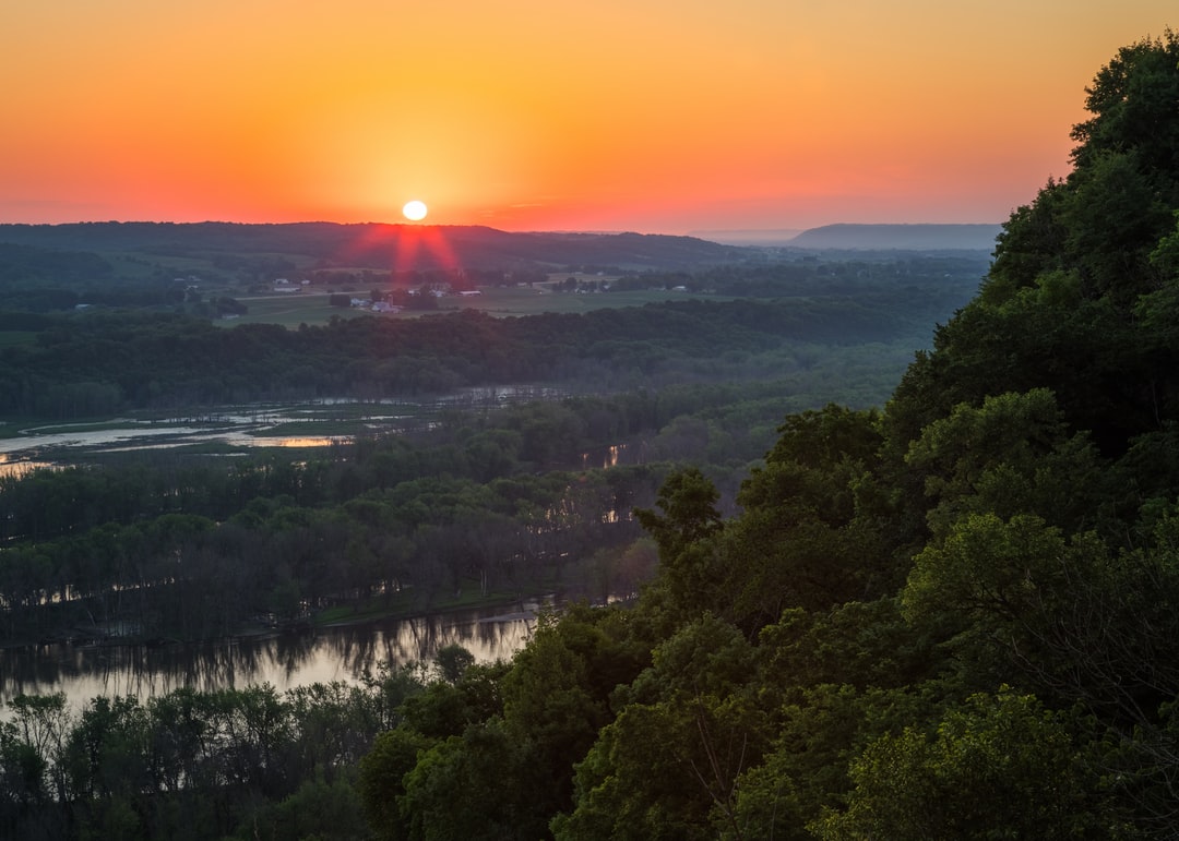 Read more about the article UN outlines biodiversity plan to reverse climate change