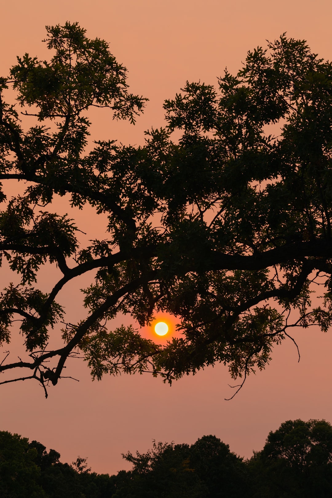 Read more about the article Extreme weather: Is the climate changing faster than expected?