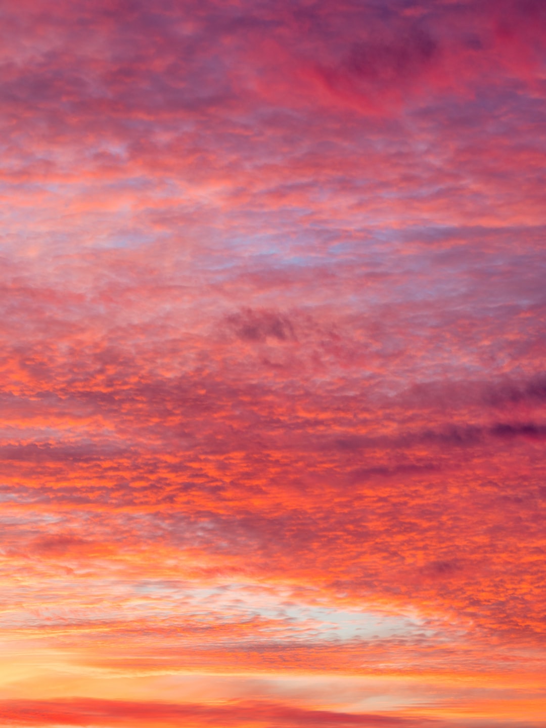 Read more about the article ‘No One is Safe’: How The Heatwave Has Battered the Wealthy World