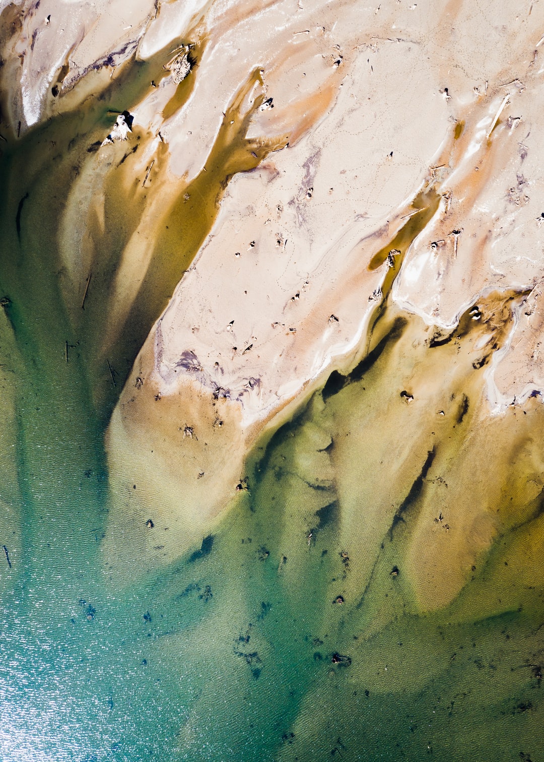 Read more about the article Bucha delivers lab-made leather alternative for clean fashion