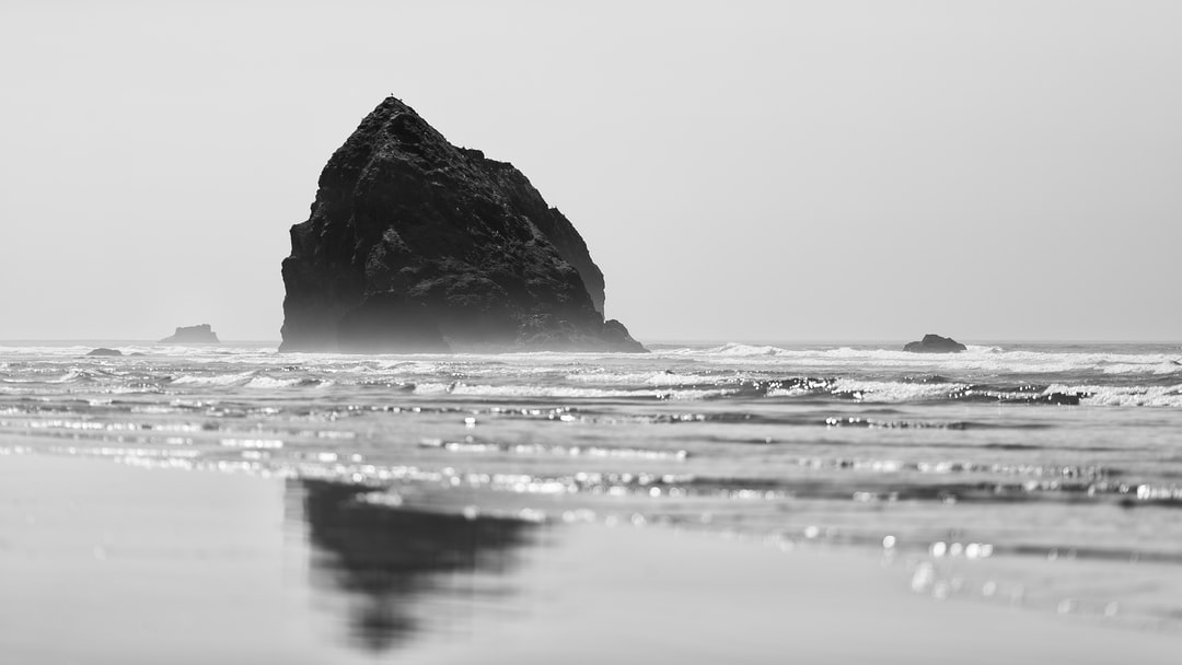 Read more about the article The Heat Wave That Hit the Pacific Northwest