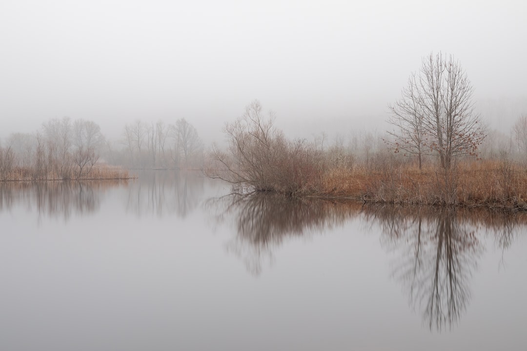 Read more about the article Climate Changed Is Blamed for Worsening Flooding in Europe