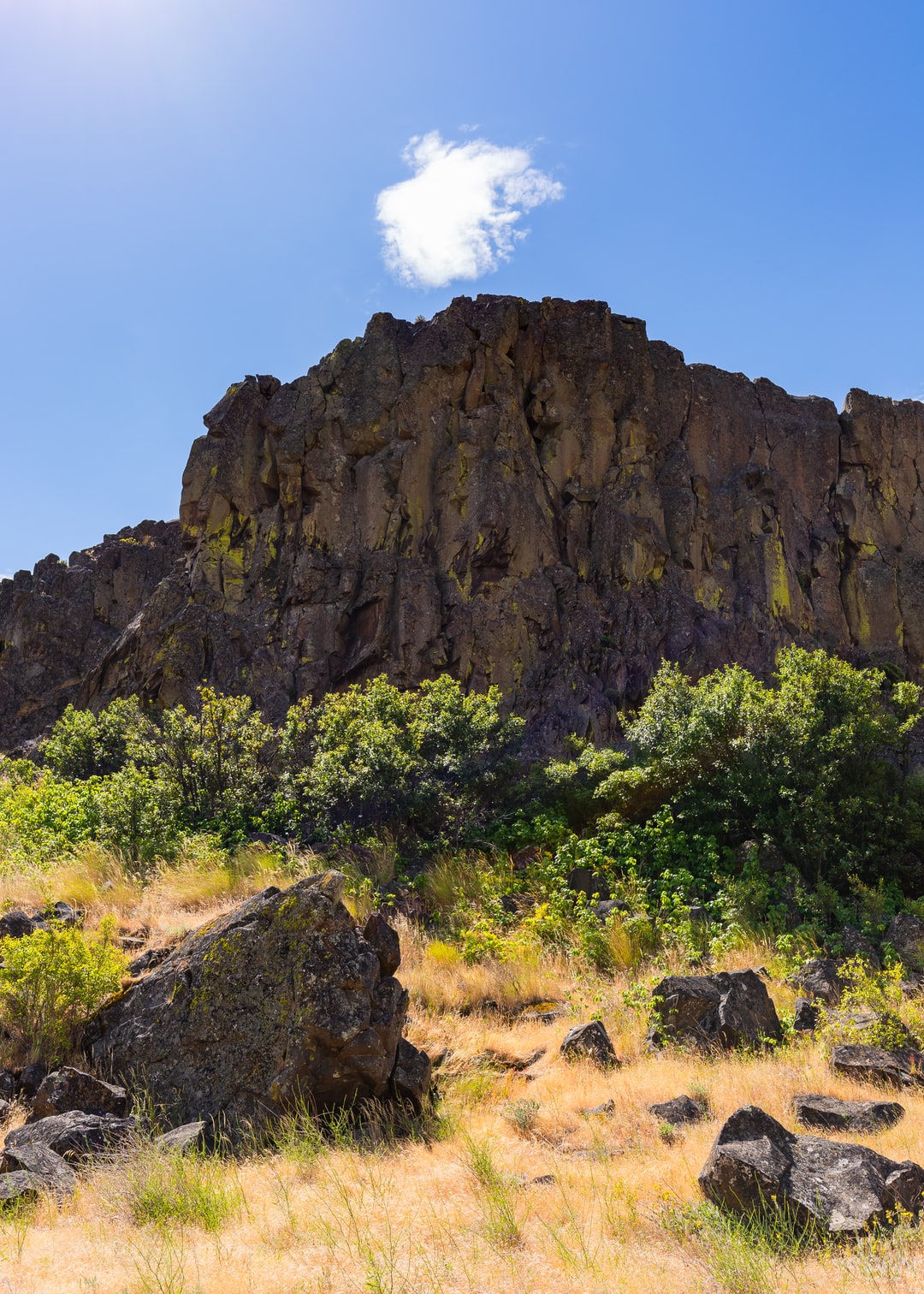 Read more about the article Earth Overshoot Day 2021 has arrived. What does it mean for the planet?