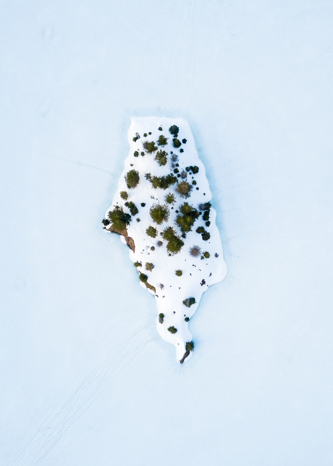 Read more about the article Rising Temperatures Threaten Salmon in the West