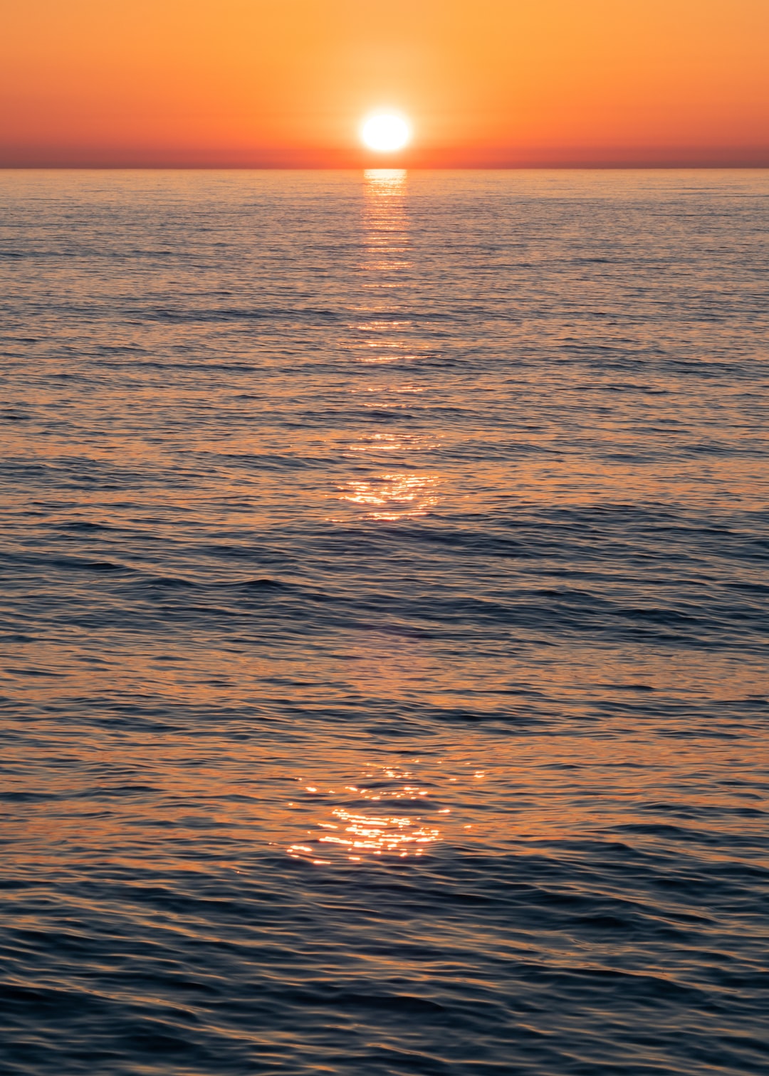Read more about the article The High Performance Surfing Center honors nature inside and out