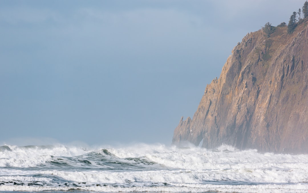 Read more about the article Democrats Call For a Tax on Imports From Polluting Countries