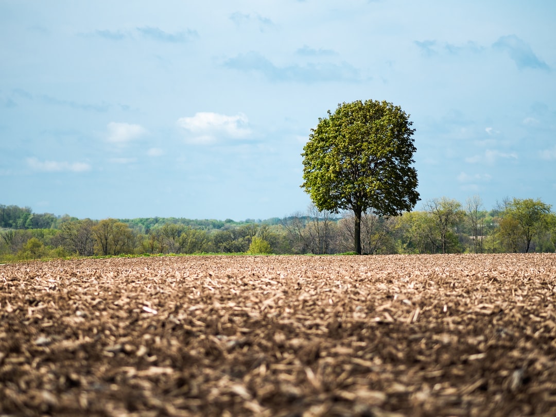 Read more about the article Least developed countries tell rich nations to cut emissions