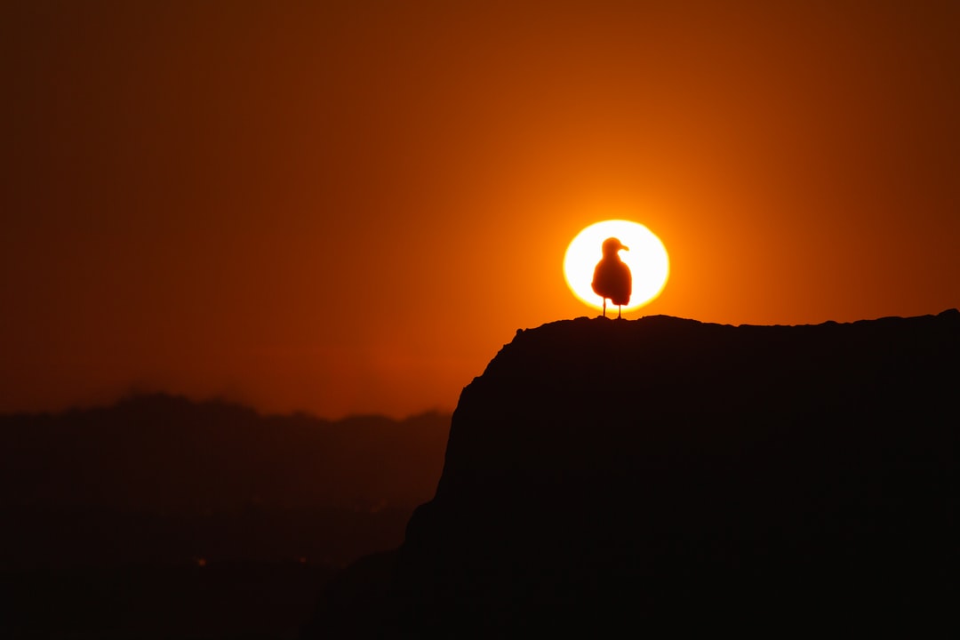 Read more about the article Threatened by Climate Change? Consider Managed Retreat.