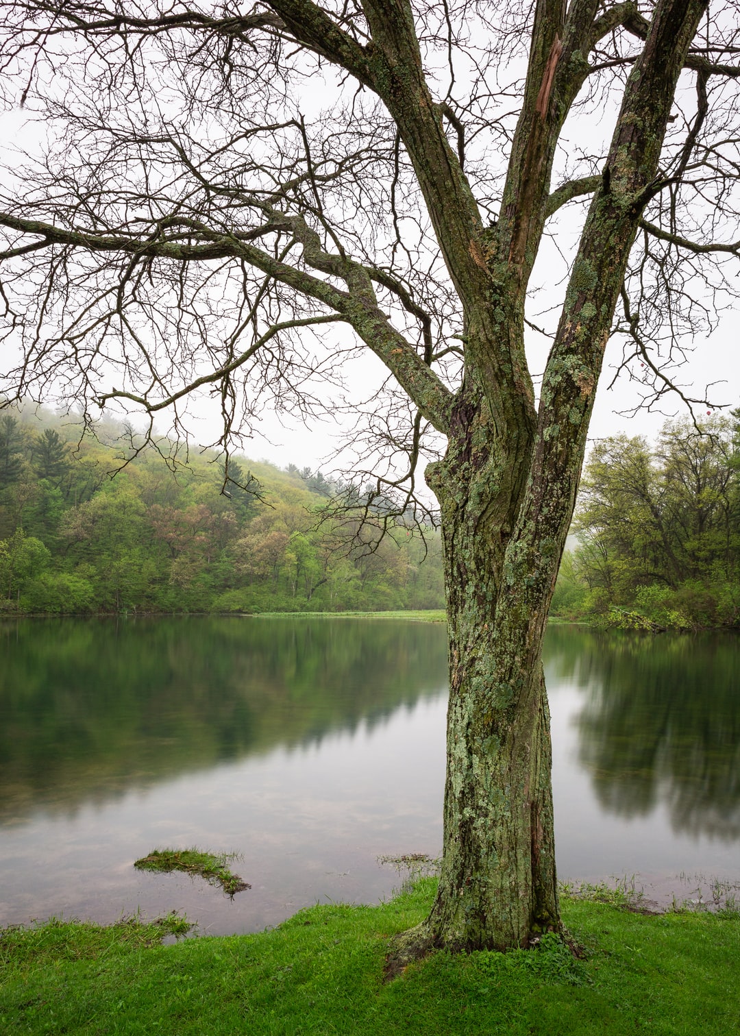 Read more about the article Putting a Price on Pollution