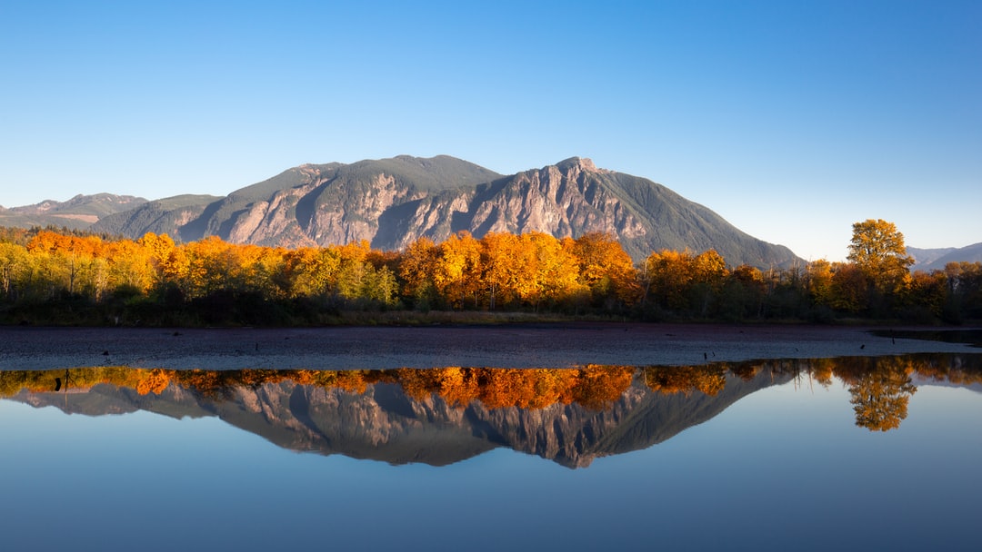 Read more about the article I Miss the Old Yosemite