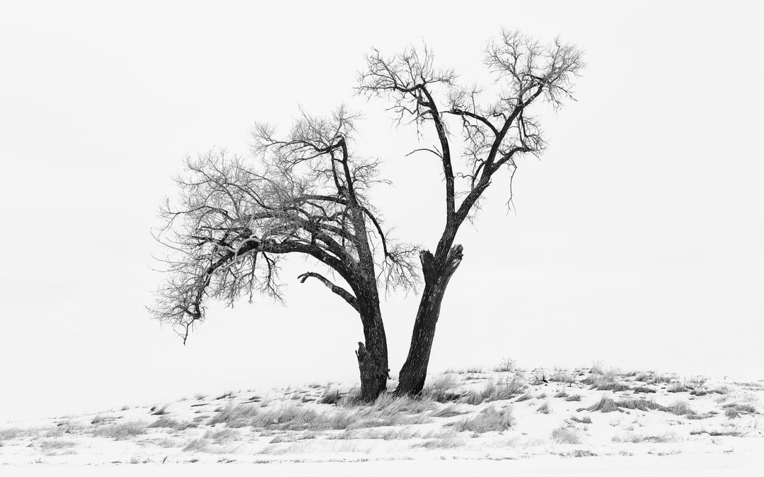 Read more about the article Western Drought Will Last Into Fall or Longer