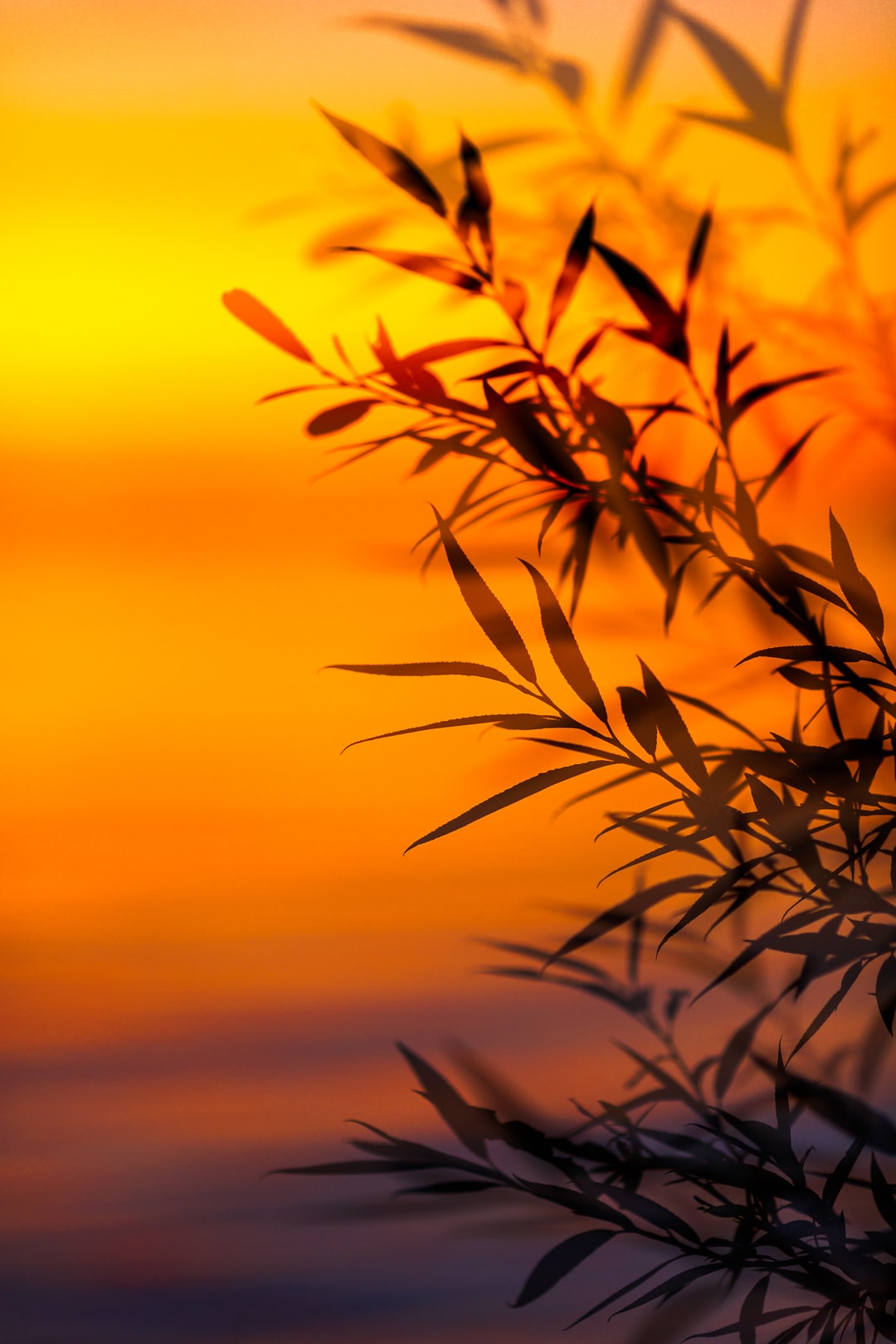 Read more about the article Pacific Northwest Braces For Another Heat Wave