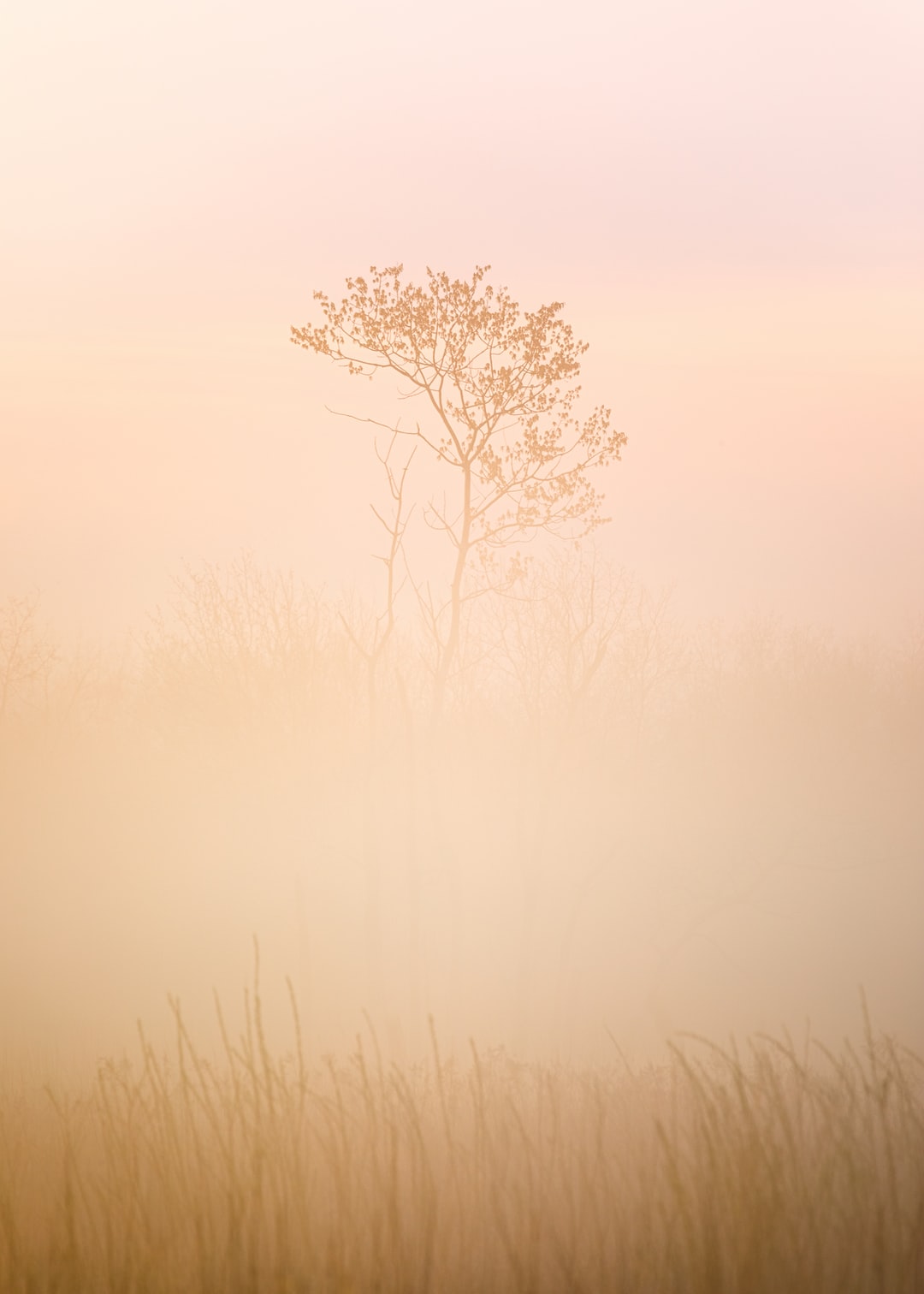 Read more about the article mySUN combines human energy and solar for a renewable solution