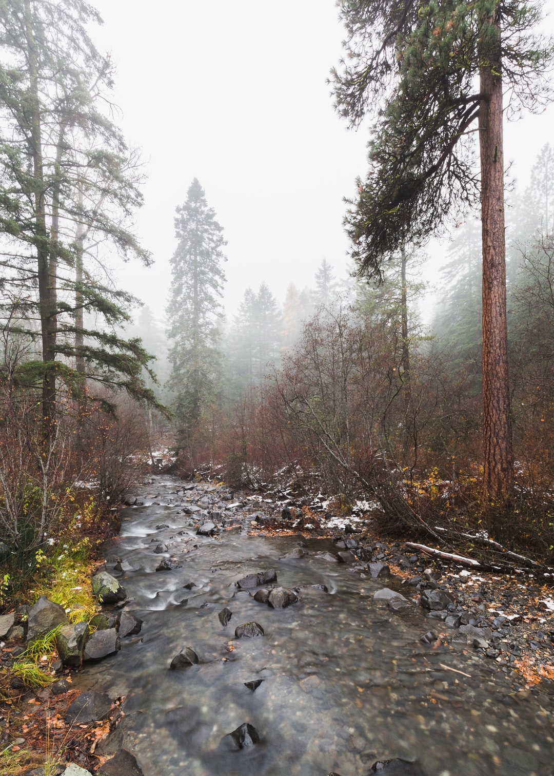 Read more about the article Dixie Fire Ravages California Towns
