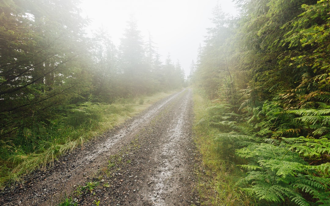 Read more about the article To Address the Climate Crisis, Focus on More Than Carbon Dioxide