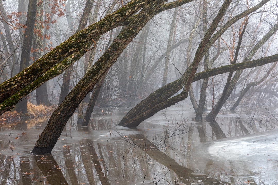 Read more about the article July 2021 may be the hottest month in recorded history