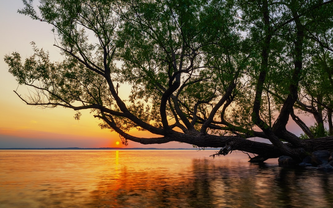 Read more about the article New Water Cuts Are Coming in the West