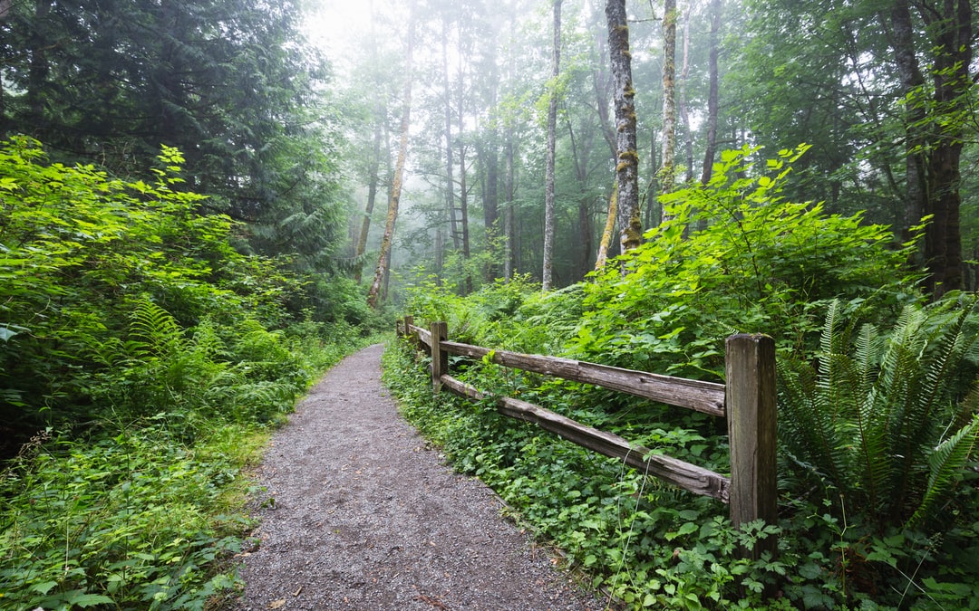 Read more about the article Reconsidering Outdoor Travel in the West, as Wildfires Burn