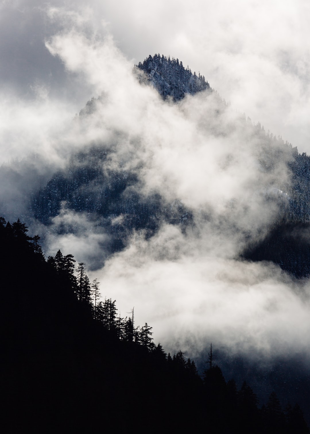 Read more about the article Why Australia Won’t Commit to Slashing Carbon Emissions