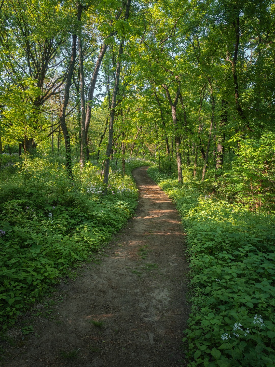 Read more about the article Mining in Minnesota halts as government considers 20-year ban