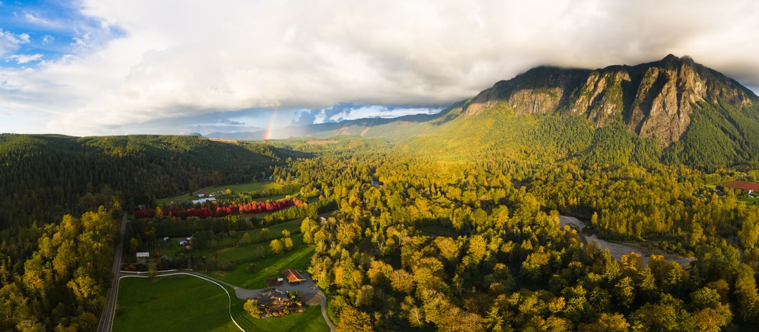 Read more about the article DroneSeed makes reforestation easier after a large wildfire