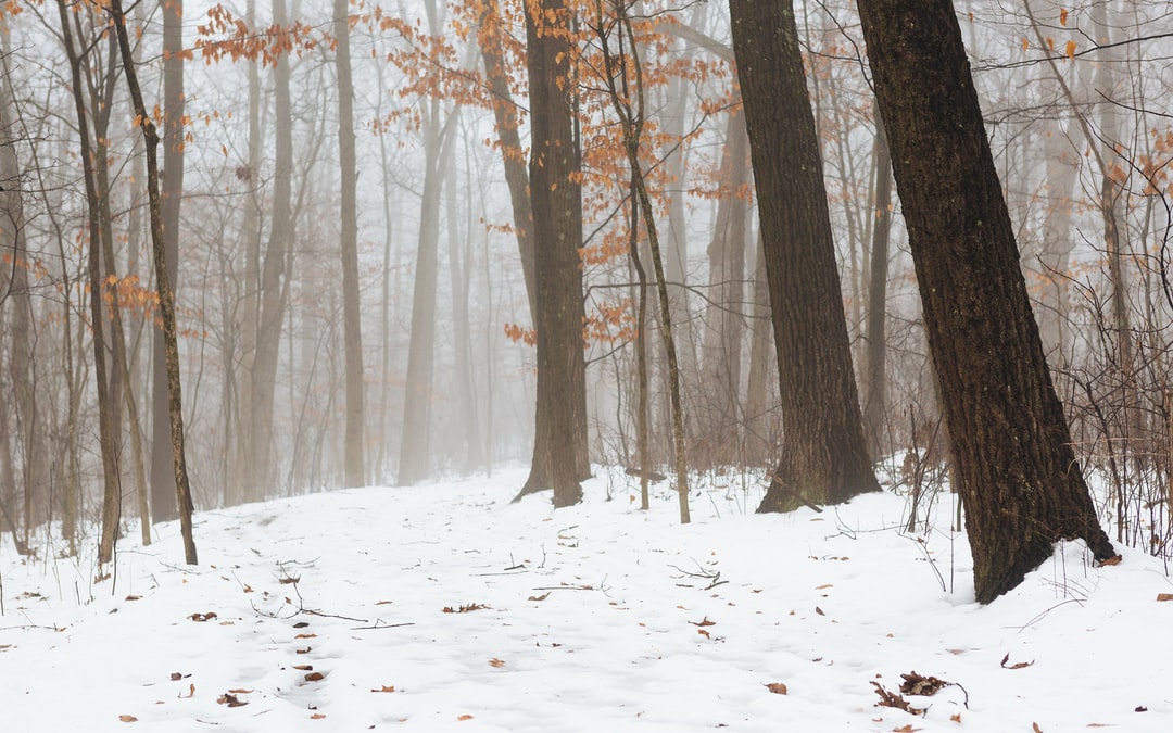 Read more about the article As Risks of Climate Change Rise, Investors Seek Greener Buildings