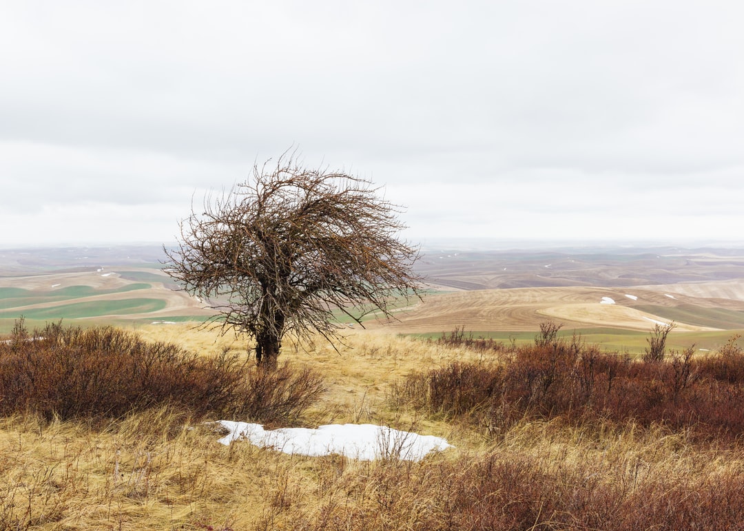 Read more about the article Vertima’s environmental consulting helps businesses go green