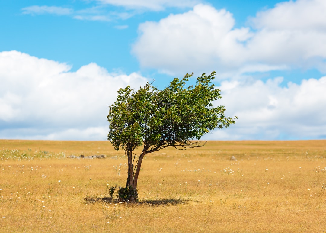 Read more about the article Climate Change Became the Central Part of Biden Spending Bill