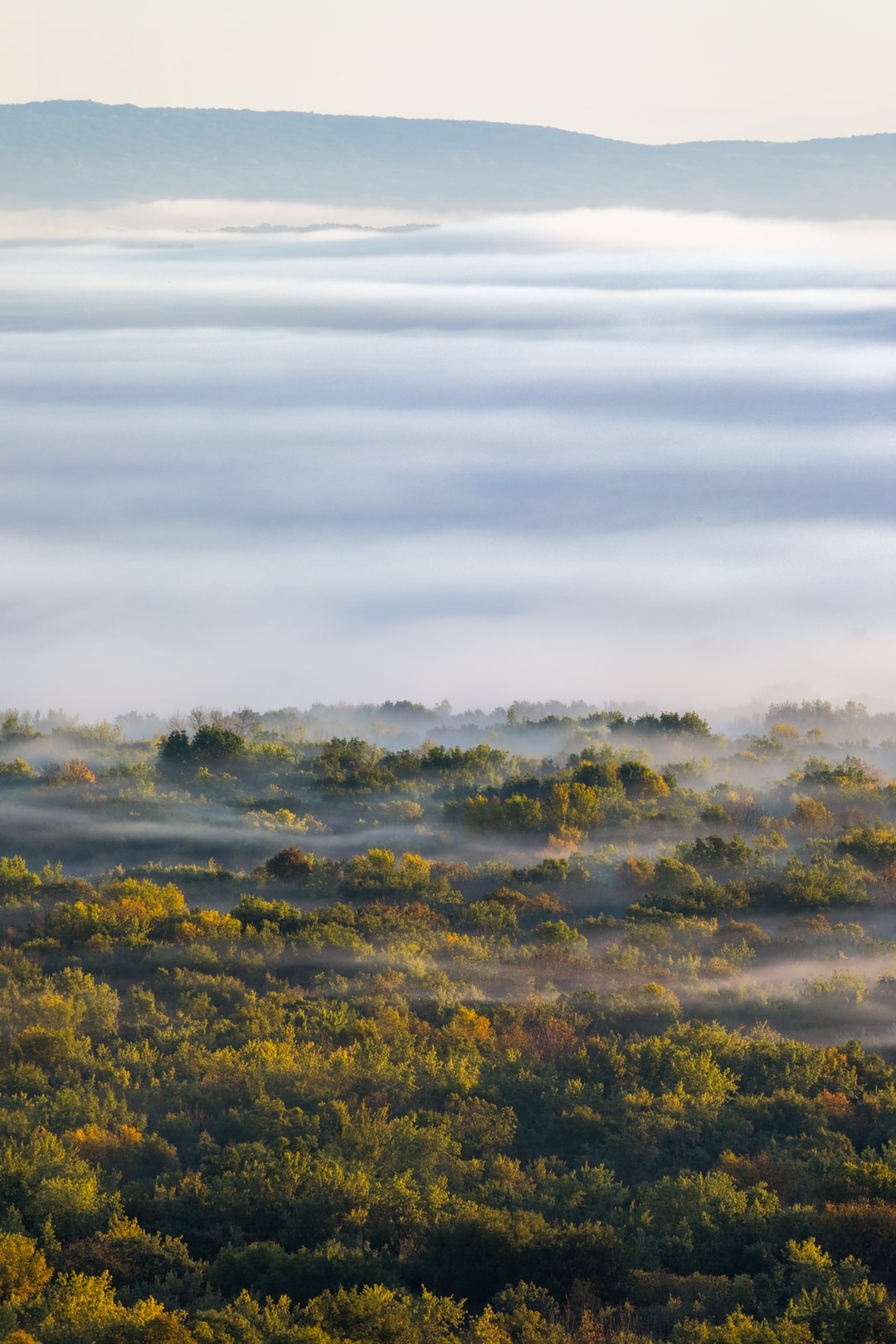 Read more about the article NASA Turns to the Cloud for Help With Next-Generation Earth Missions