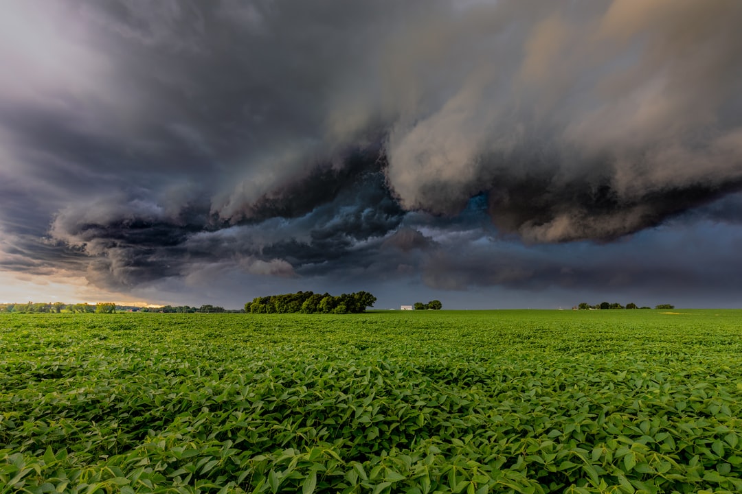 Read more about the article What’s Next for Biden’s Climate Plan?