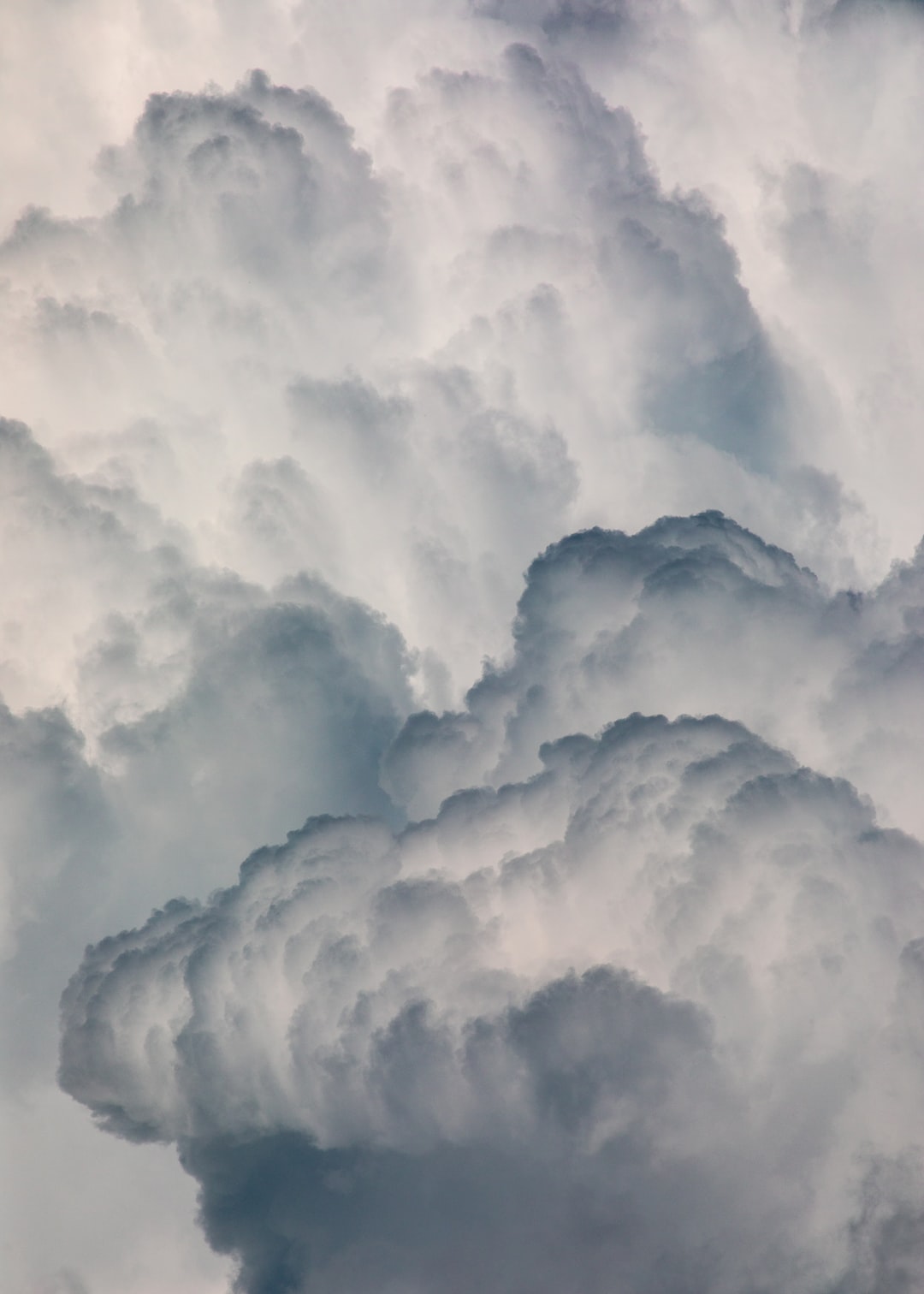 Read more about the article Climate Exhibitions Look Beyond Declarations of Calamity