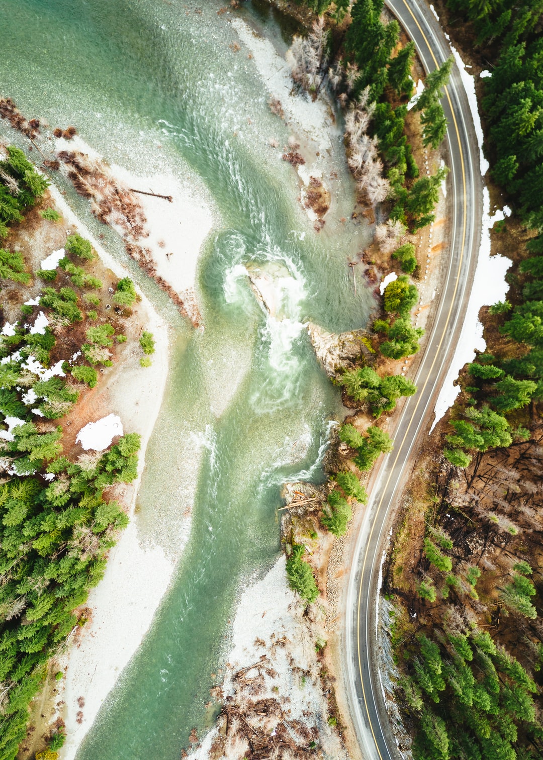 Read more about the article Innovative biomaterials to help the world replace plastic