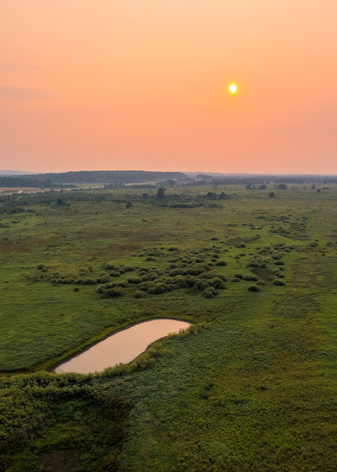 Read more about the article Here are 5 Indigenous eco-charities to support