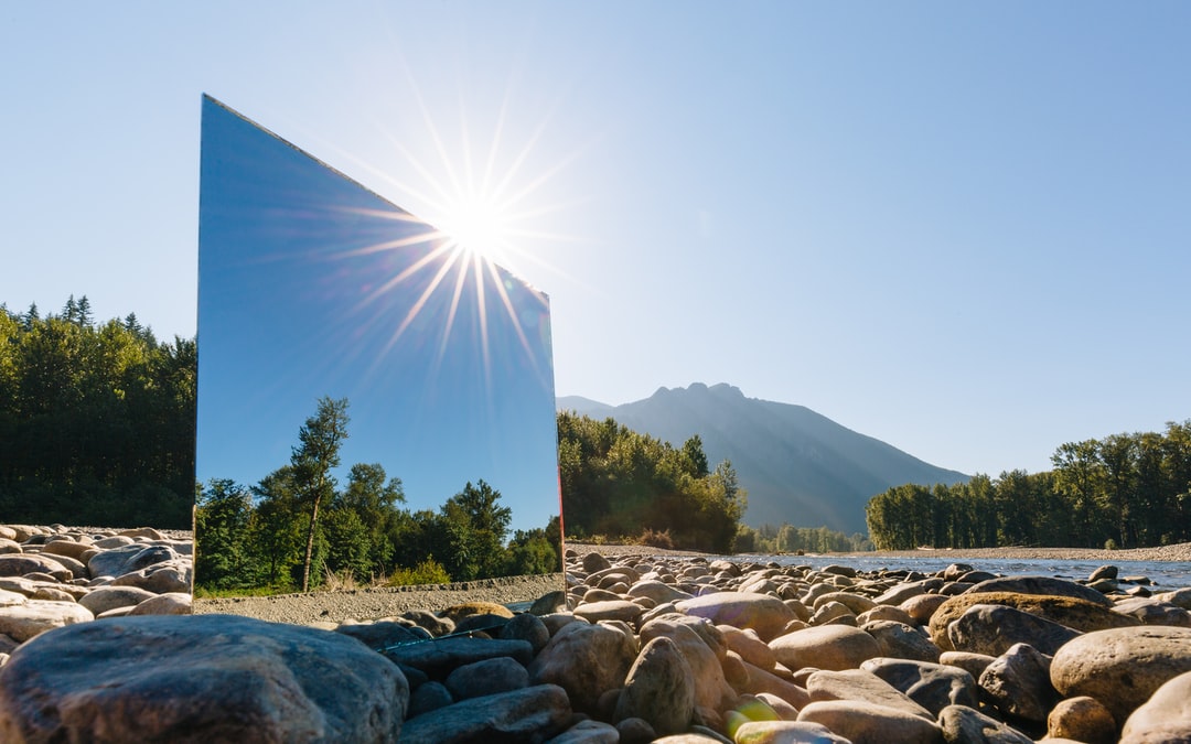 Read more about the article Can High-Tech Capitalism Address Climate Change?