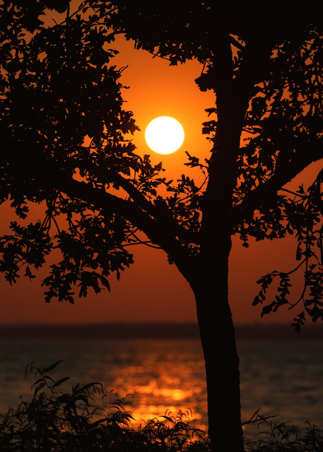 Read more about the article What’s in the $2.2 Trillion Social Policy and Climate Bill