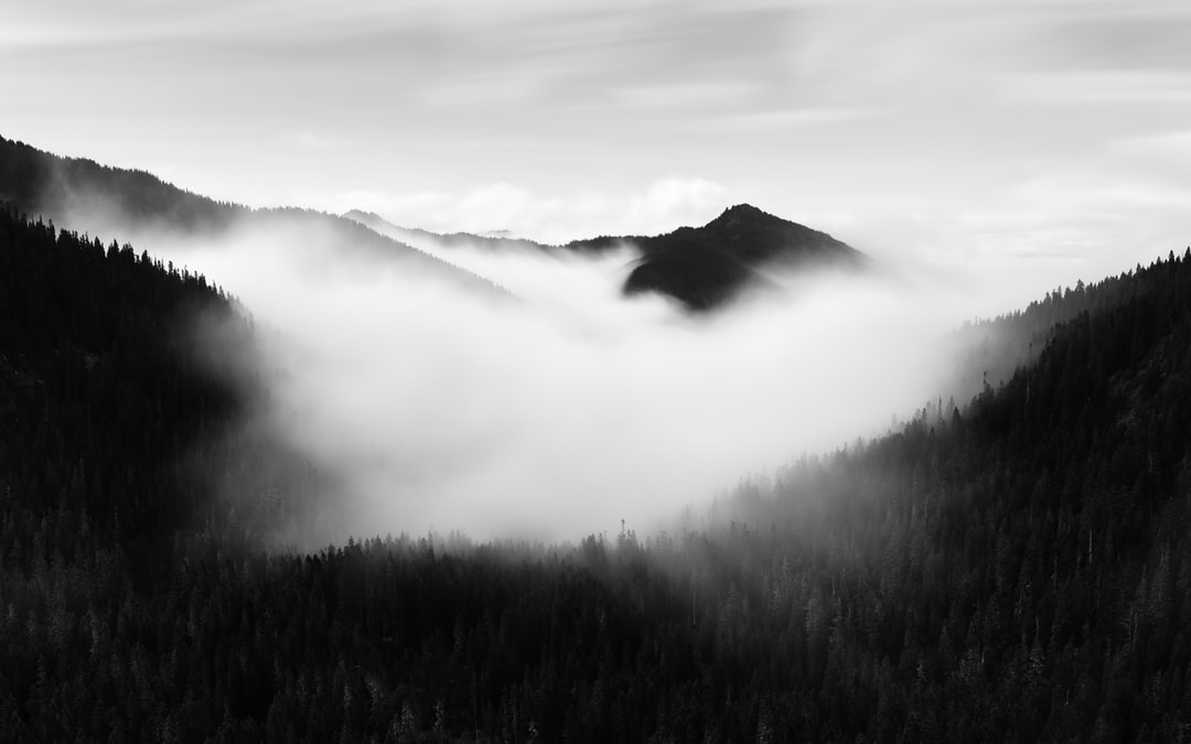 Read more about the article Are Global Warming Summits Still Cool?