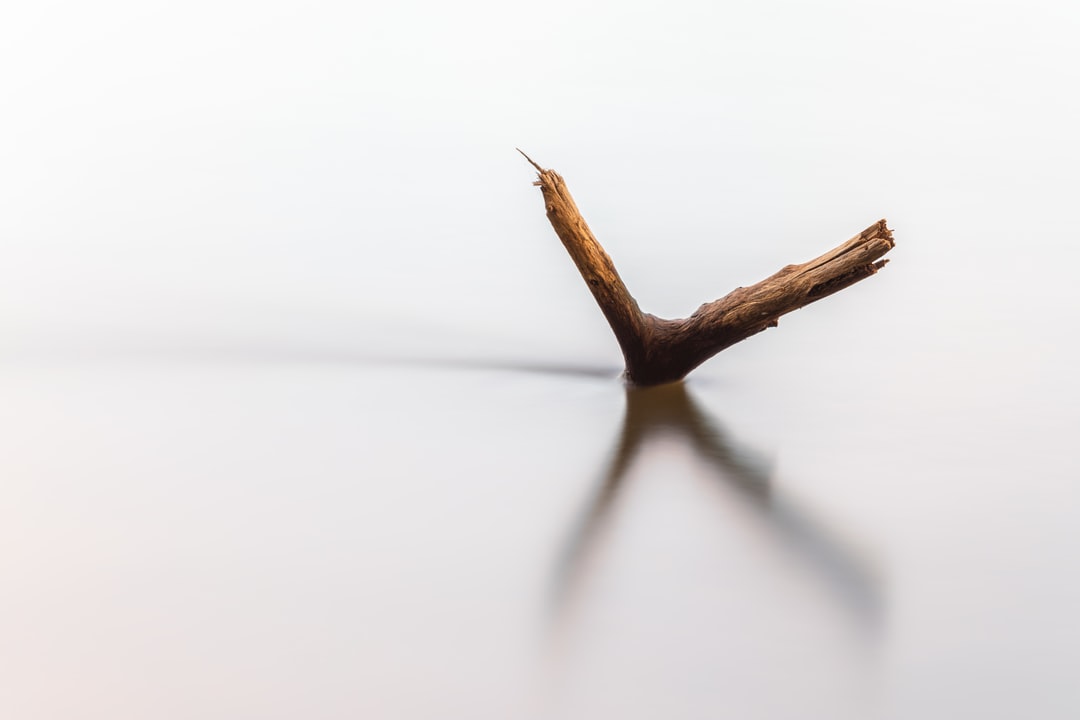 Read more about the article When Bad News About the Climate Is Good for Green Stocks