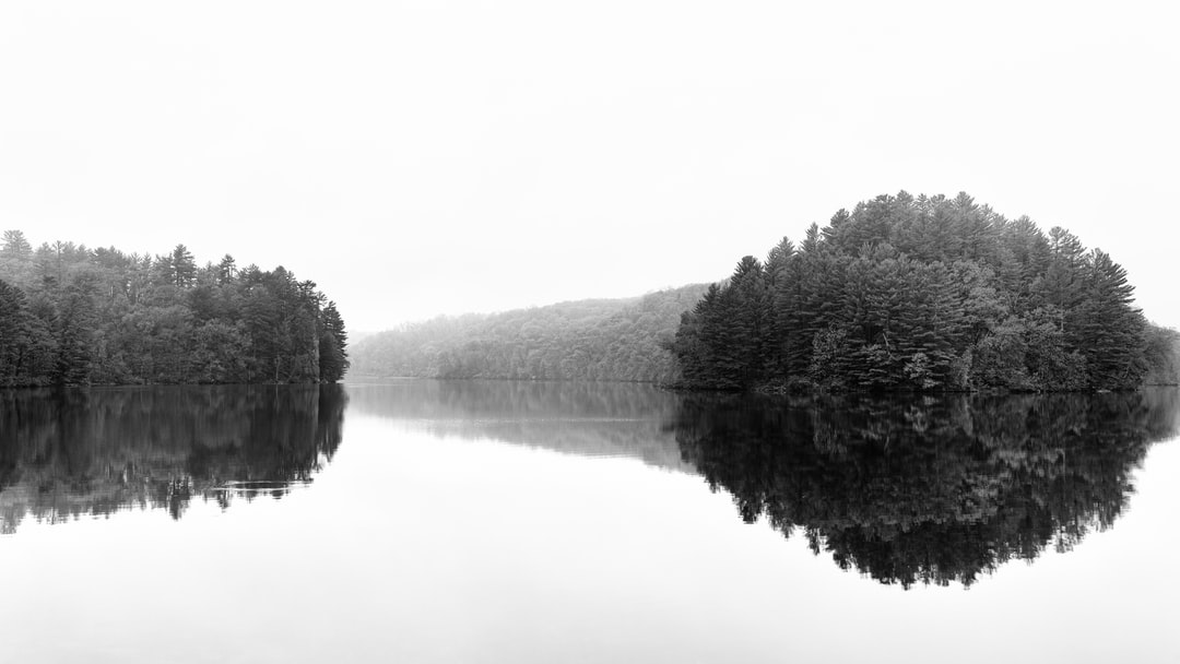 Read more about the article 110 countries pledge to end deforestation by 2030