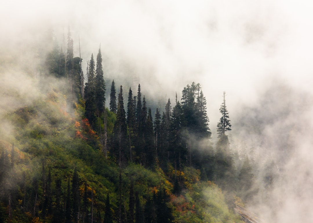 Read more about the article Best states in America for owning an electric vehicle