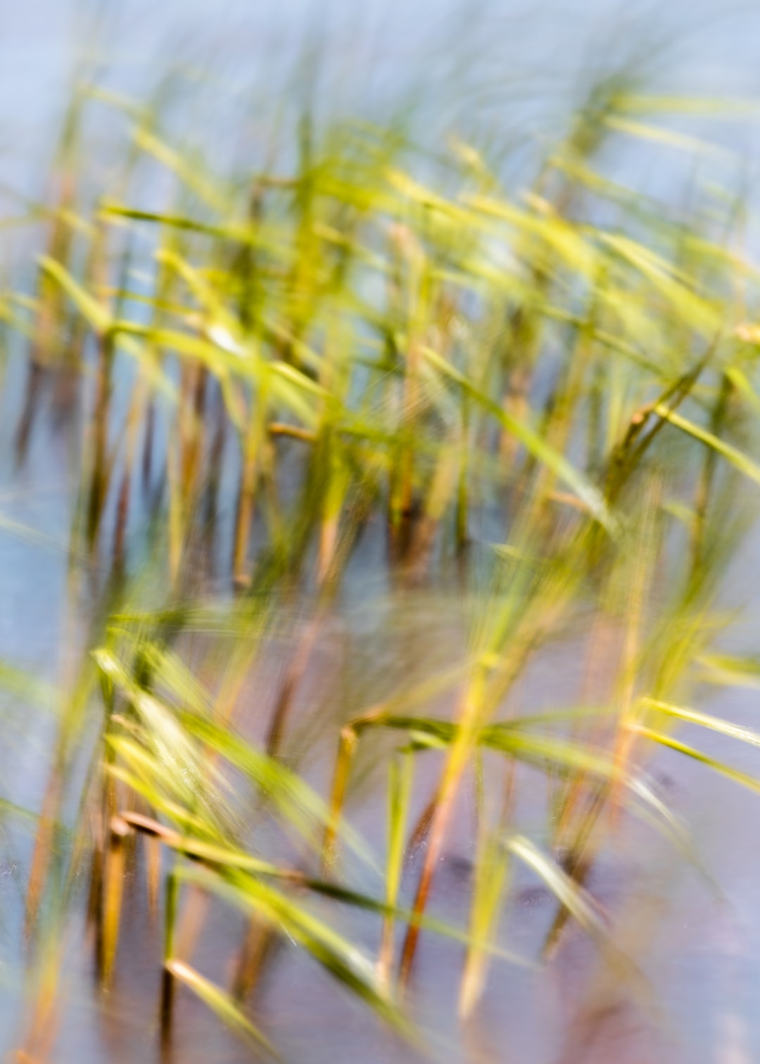 Read more about the article The Year in Climate Change
