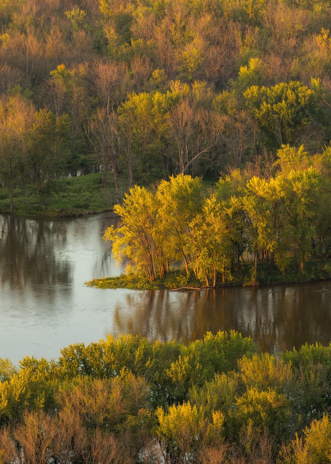 Read more about the article Climate change may drive up Christmas tree prices this year