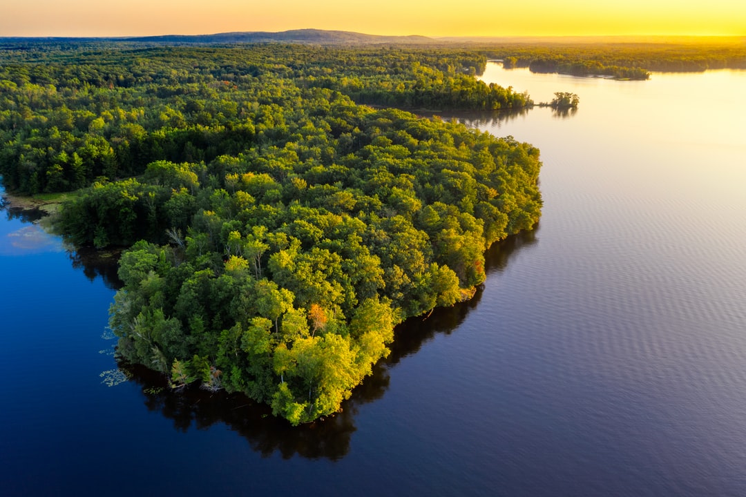 Read more about the article 8 positive environmental stories from 2021